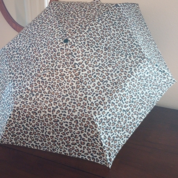 Umbrella - Picture 4 of 6